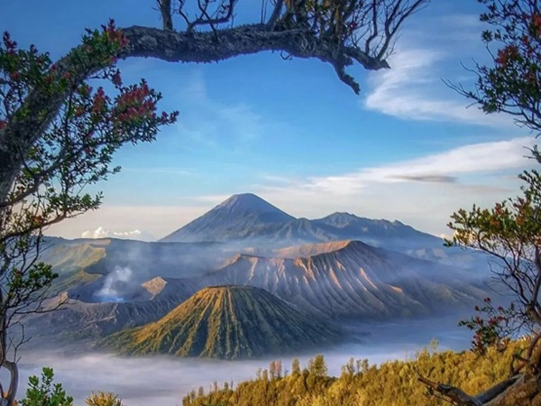 bromo